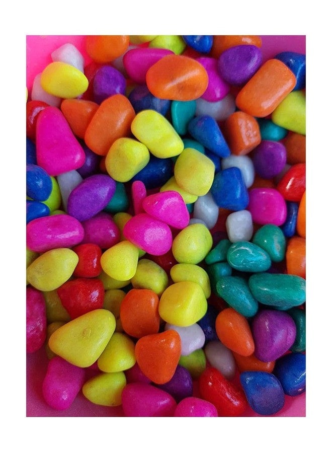 Somil Multicolor Pebbles/Stones for Garden, Plants, Lawns, Aquariums, Fish Pots, Home Decor, Vases, Furniture Filler. Size: 10-30mm, Shiny Multicolor -A240 - Image 1